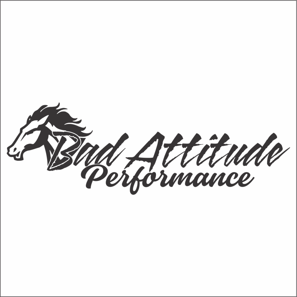 bad-attitude-21-decal-bad-bass-designs